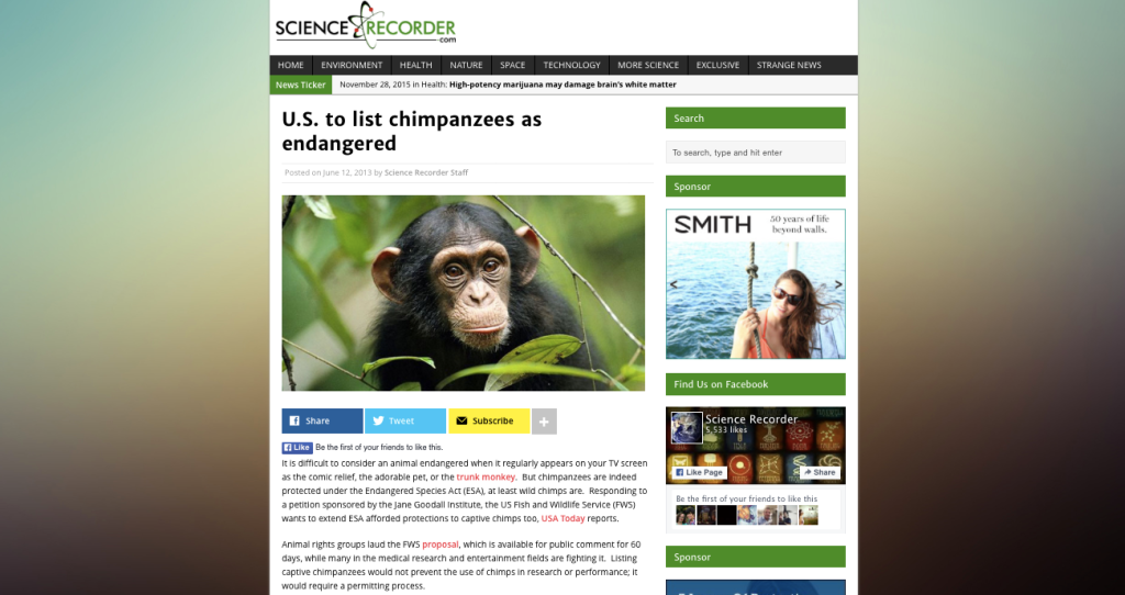 U.S. to list chimpanzees as endangered